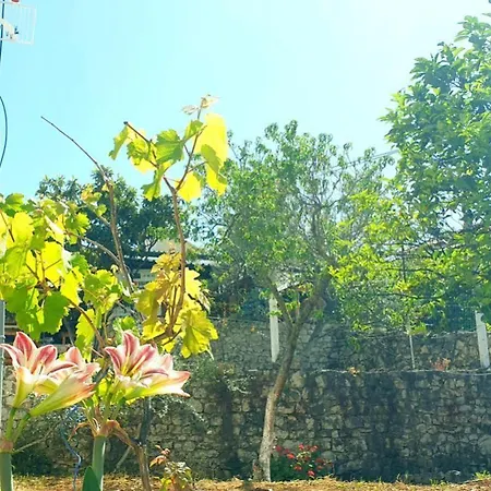 In Bb - Albania Dream Holidays Guest house Ksamil